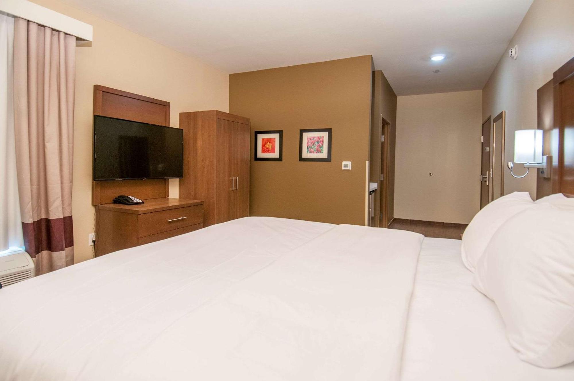 Comfort Inn & Suites Downtown Near University Tuscaloosa Esterno foto